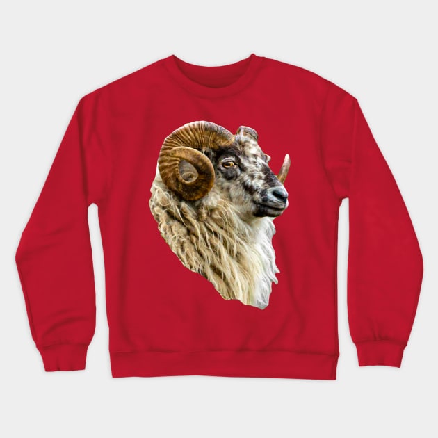 Magnificent Boreray Ram Crewneck Sweatshirt by dalyndigaital2@gmail.com